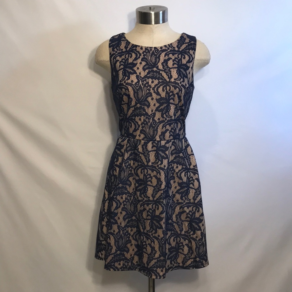 Navy Lace Overlay Fit & Flare Dress